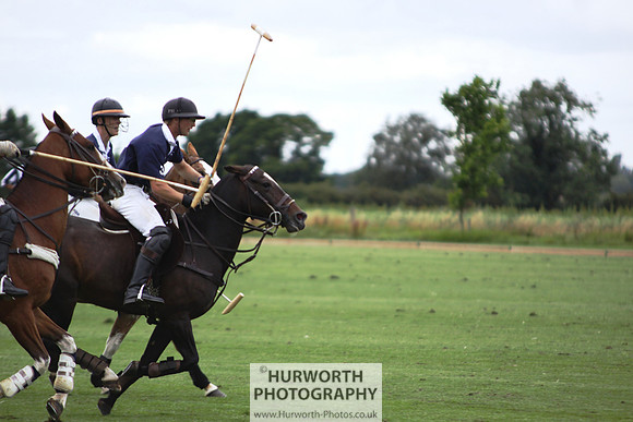 White Rose Polo 152