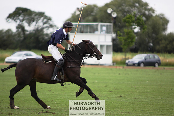 White Rose Polo 153