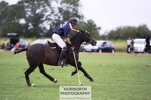 White Rose Polo 155