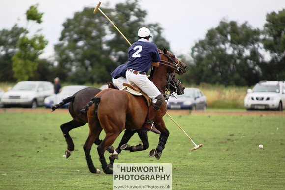 White Rose Polo 157