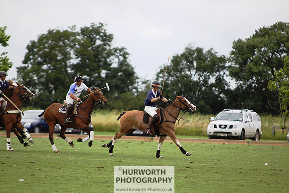 White Rose Polo 158