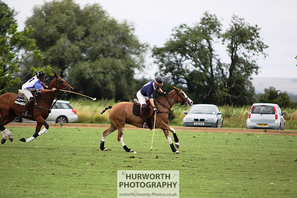 White Rose Polo 159
