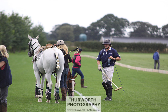 White Rose Polo 162