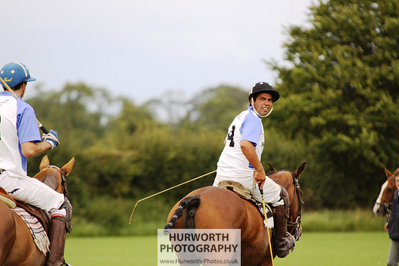 White Rose Polo 163