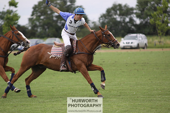 White Rose Polo 169