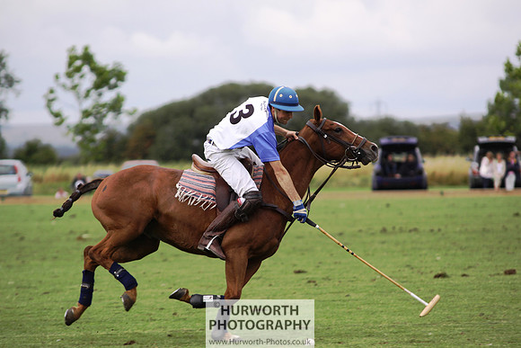 White Rose Polo 171