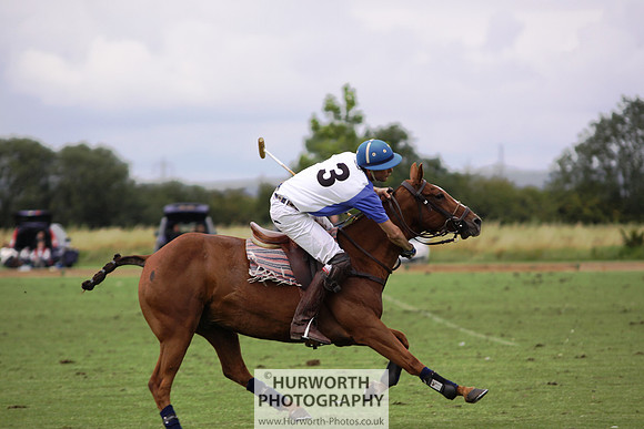 White Rose Polo 172