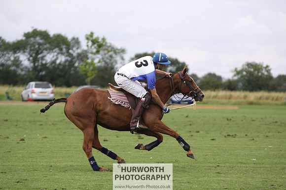 White Rose Polo 173
