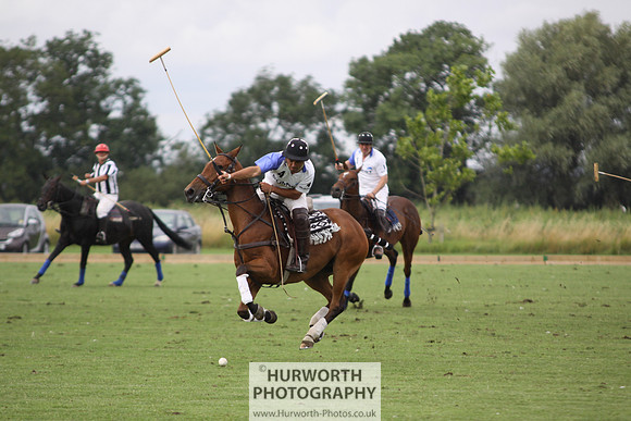 White Rose Polo 176