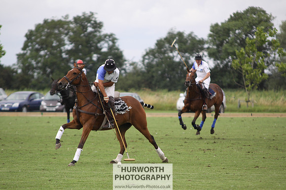 White Rose Polo 177
