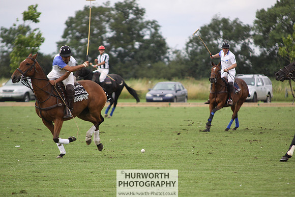 White Rose Polo 178