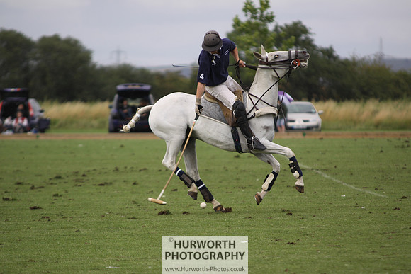 White Rose Polo 179