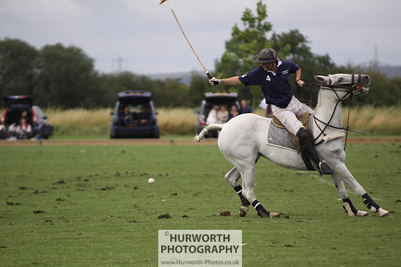 White Rose Polo 180