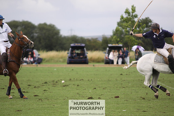 White Rose Polo 181