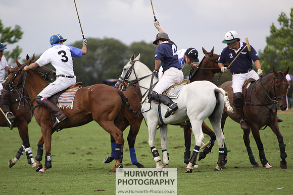 White Rose Polo 182