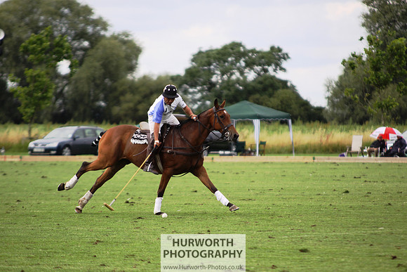 White Rose Polo 183