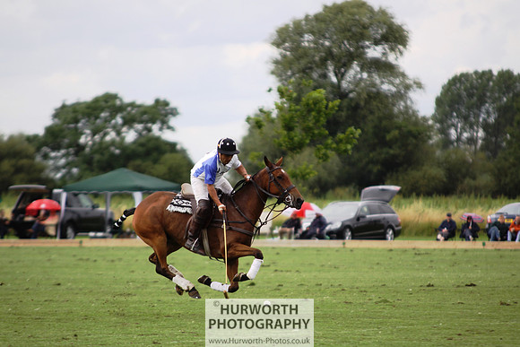 White Rose Polo 184