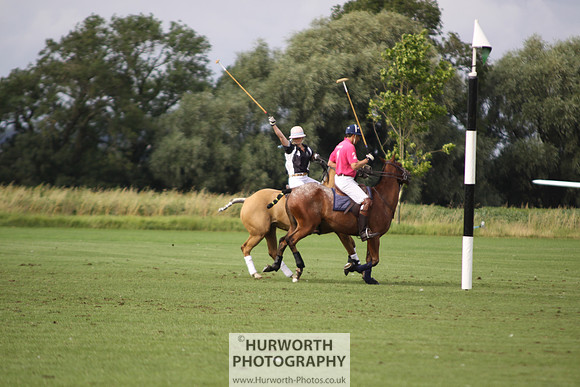 White Rose Polo 007