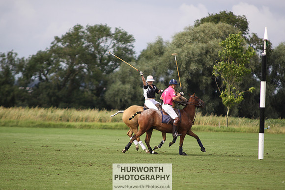White Rose Polo 006
