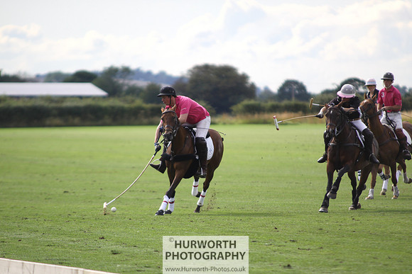 White Rose Polo 008