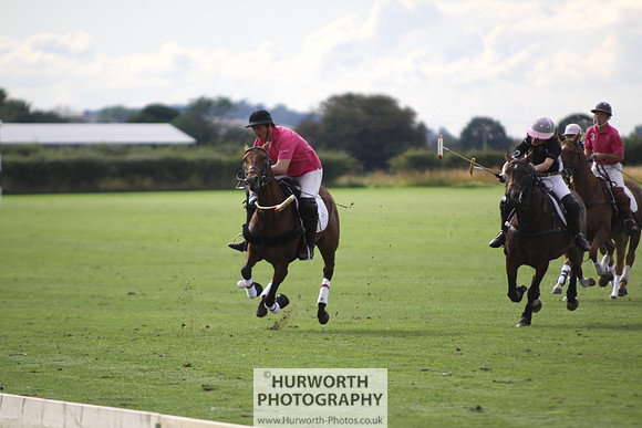 White Rose Polo 009