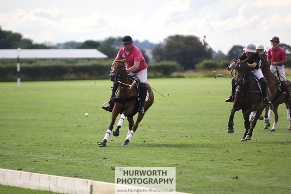 White Rose Polo 010