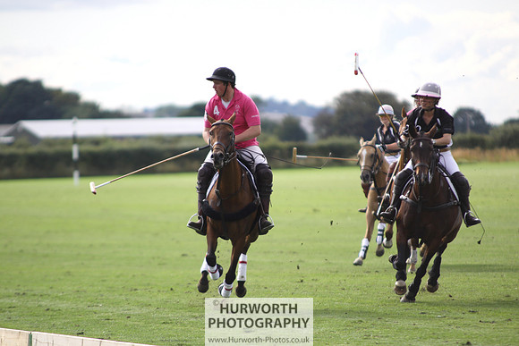 White Rose Polo 012