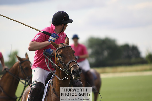 White Rose Polo 017