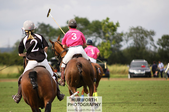 White Rose Polo 019
