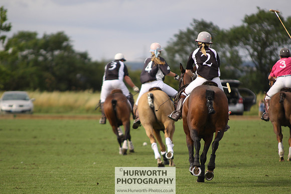White Rose Polo 021