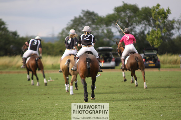 White Rose Polo 022