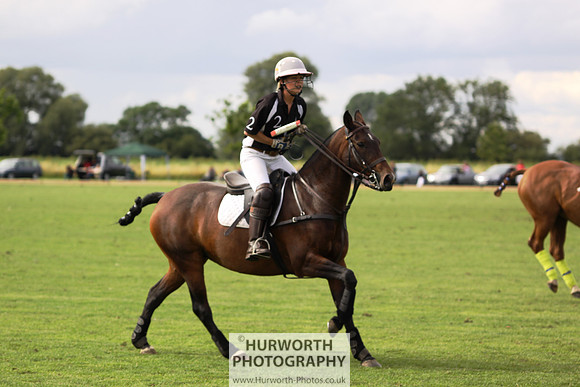 White Rose Polo 027