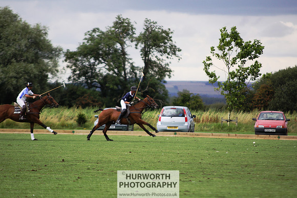 White Rose Polo 003