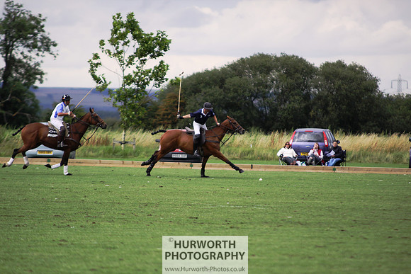 White Rose Polo 004