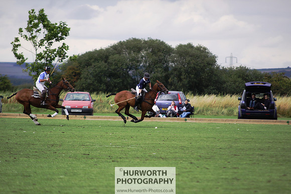 White Rose Polo 005