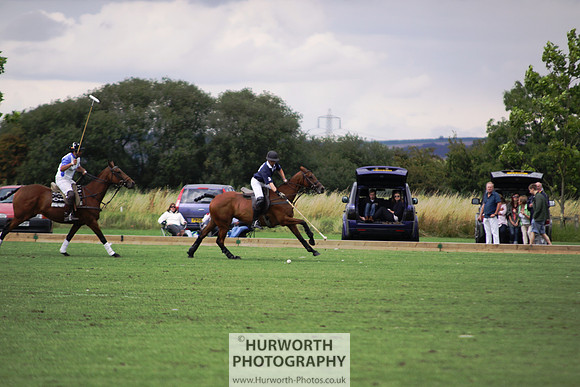 White Rose Polo 006