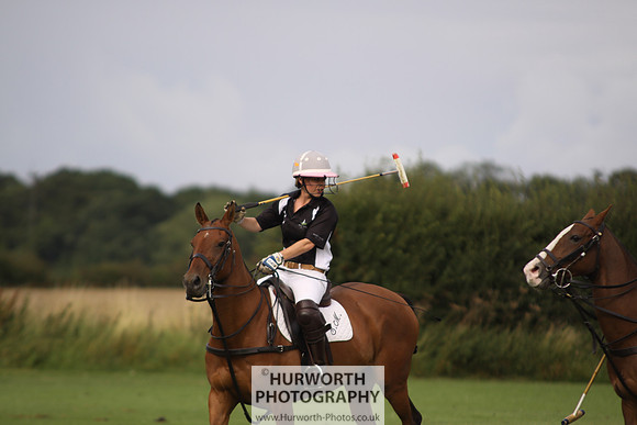White Rose Polo 032