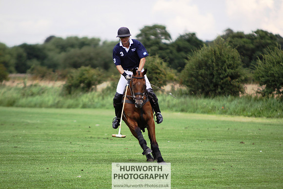 White Rose Polo 009