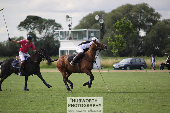 White Rose Polo 036