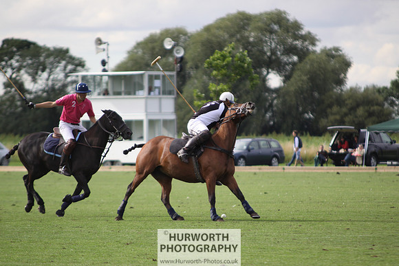 White Rose Polo 037