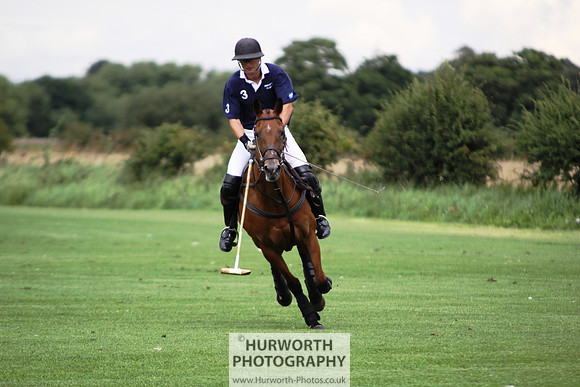 White Rose Polo 010