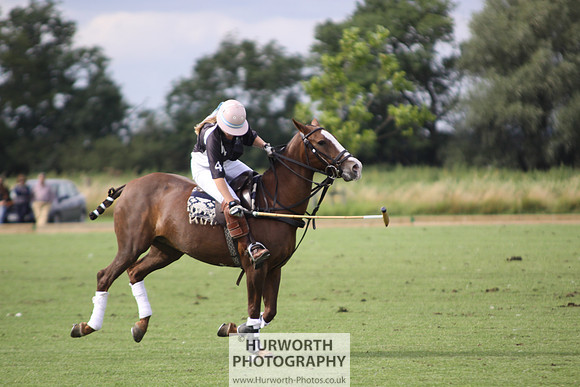 White Rose Polo 039