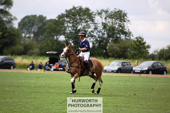 White Rose Polo 011