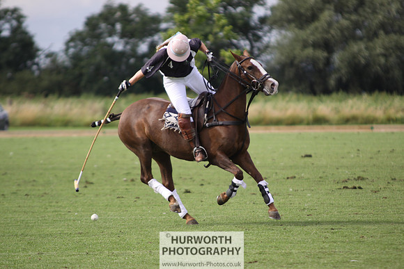 White Rose Polo 040