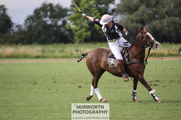 White Rose Polo 041