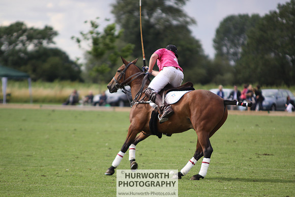 White Rose Polo 042
