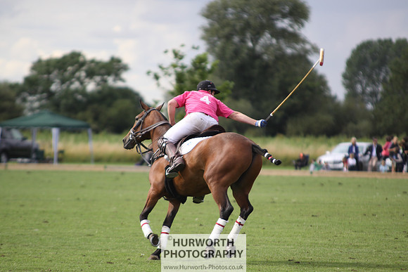 White Rose Polo 043