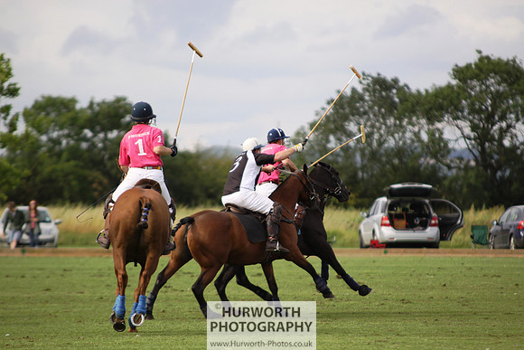 White Rose Polo 045
