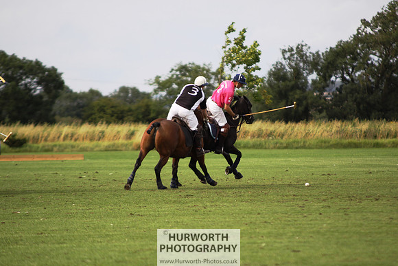 White Rose Polo 047