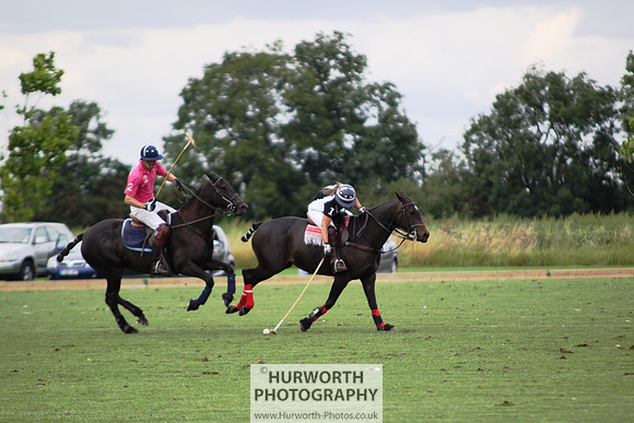 White Rose Polo 048